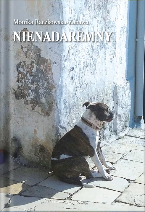 Okładka książki "Nienadaremny"